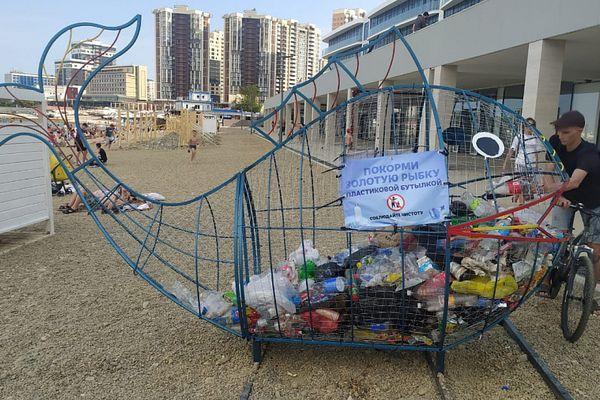 Гниющий мусор на пляжах Новороссийска источает зловоние на всю округу