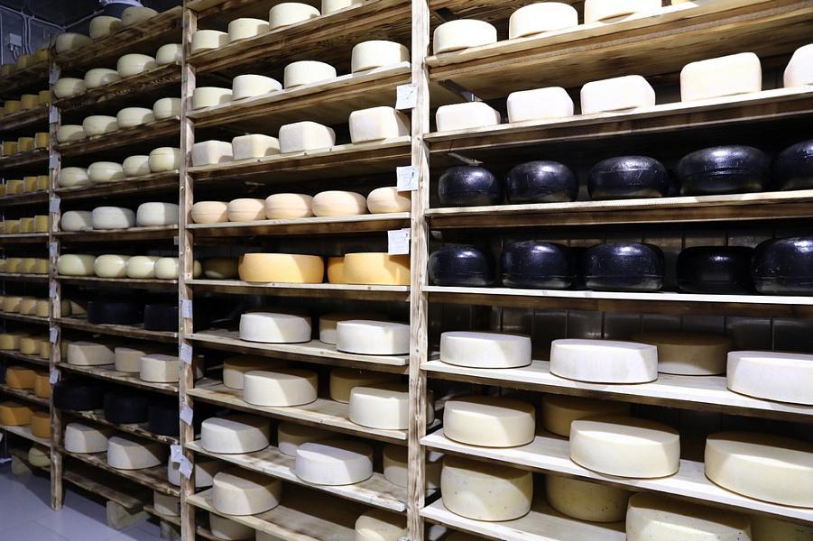 На курортах Краснодарского края откроют магазины сырной продукции от местного производителя