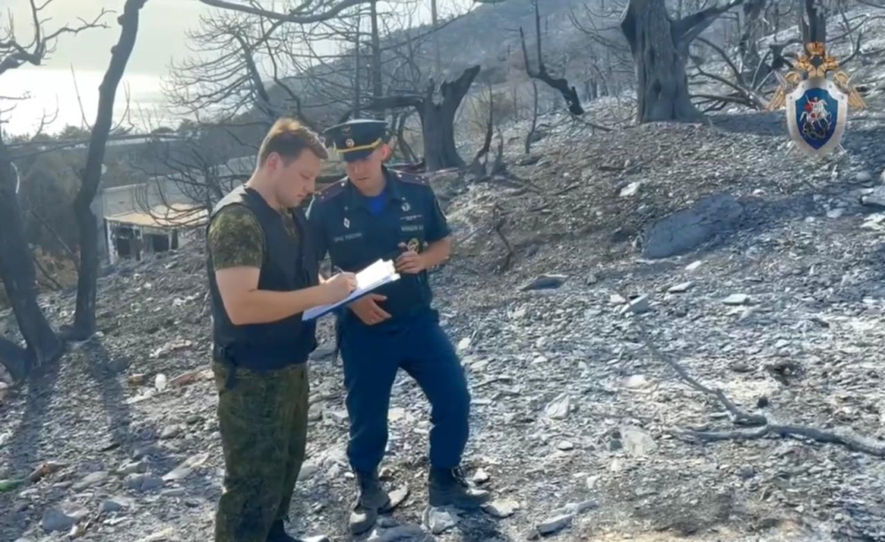 Уголовное дело о халатности возбудили из-за масштабного пожара под Новороссийском