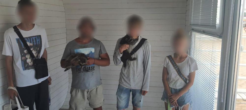 Полицейские Анапы задержали фотографов с тремя енотами