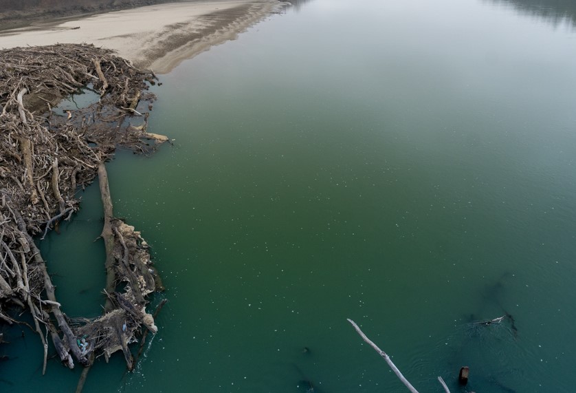 Вода в Суджукской лагуне Новороссийска стала коричневой и покрылась подозрительной пленкой