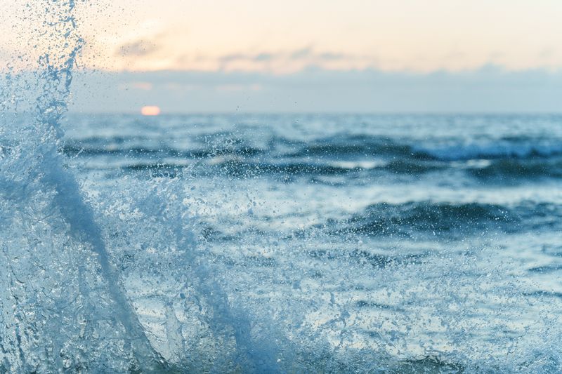 Запас тарани иссяк на 92% в Азовском море из-за осолонения воды