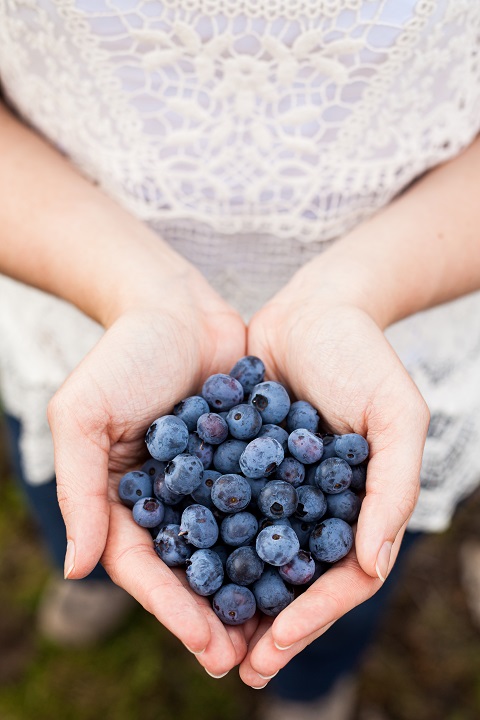 vertical-shot-person-holding-ripe-fresh-blueberries-park.jpg