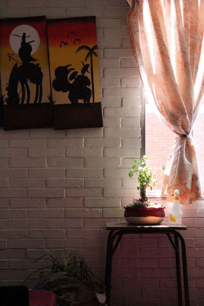 luis-guillen-USuUaN6rSAY-unsplash.jpg luis-guillen-USuUaN6rSAY-unsplash.jpg