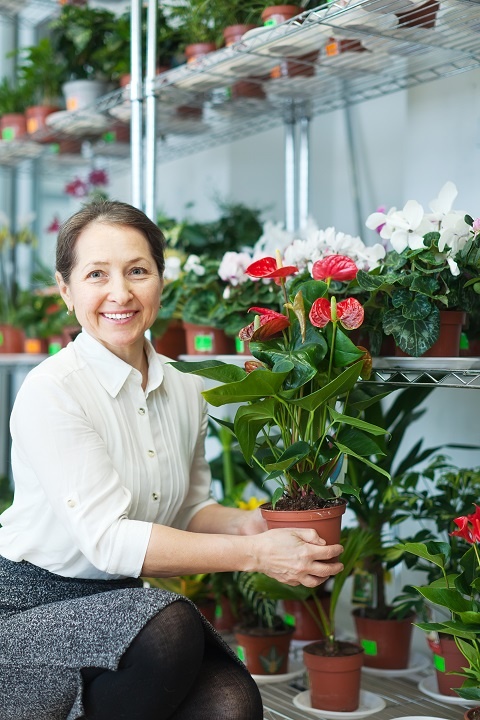 Сотрудница цветочного магазина держит в руках горшок с антуриумом