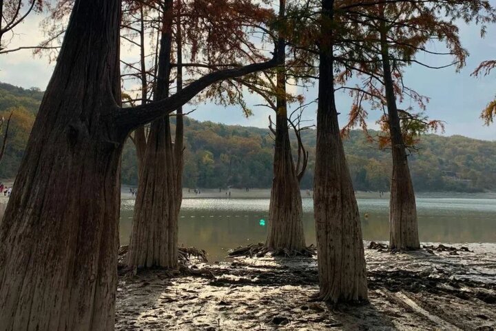 кипарисовое озеро в сукко осенью
