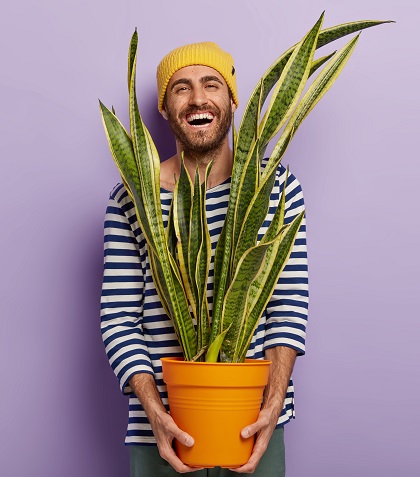 Жизнерадостный мужчина держит в руках горшок с комнатным растением 