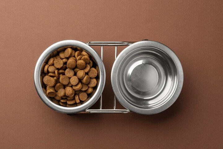 миска с кормом и водой для собаки