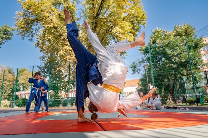 Показательные единоборства