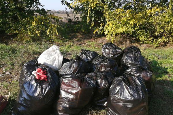 Десятки мешков мусора вывезли в рамках субботника