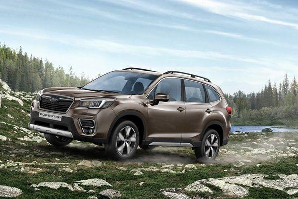 Subaru-Forester.jpg
