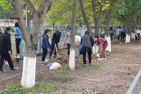 Школьники приняли активное участие в субботнике Школьники приняли активное участие в субботнике