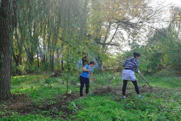 На месте заросшего участка появится детская площадка На месте заросшего участка появится детская площадка
