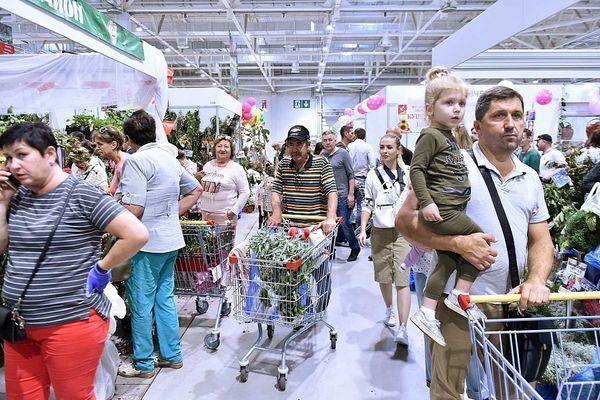 Кубанская ярмарка прошла с 3 по 6 октября 2019