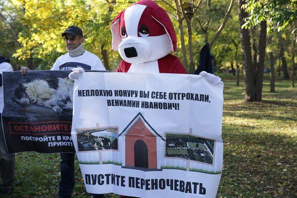 На пикет собрались неравнодушные горожане