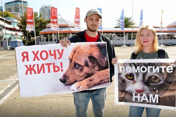 Зоозащитники собирали подписи в поддержку своих требований
