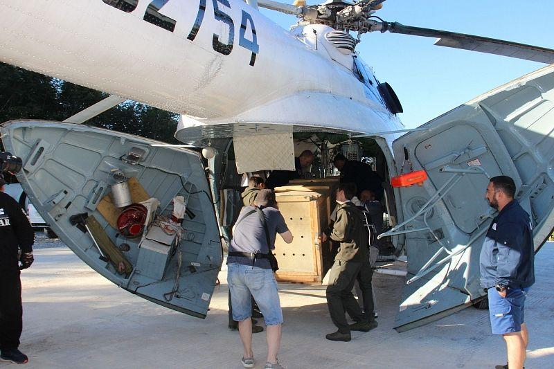 Рожденных в Сочинском нацпарке леопардов выпустили на волю в Осетии