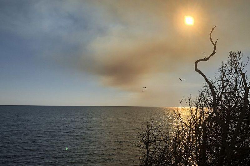 Горит Утриш: пожар в реликтовом лесу под Анапой продолжается вторые сутки