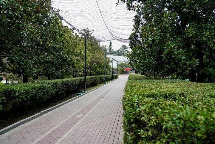 В сочинском парке «Ривьера» снесли 80 коммерческих точек