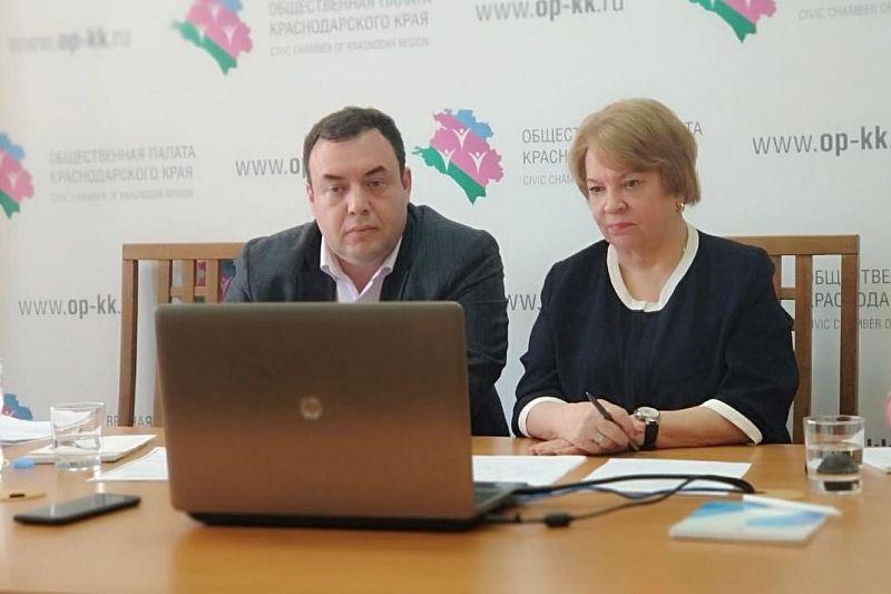 Общественная палата Краснодарского края провела онлайн-семинар в рамках проекта «Школа общественного наблюдателя»