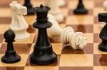 Шесть шахматистов из Армавира заняли призовые места на краевом первенстве - https://armvest.ru