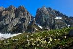 Фото предоставлено пресс-службой администрации Сочи - http://23rus.org/