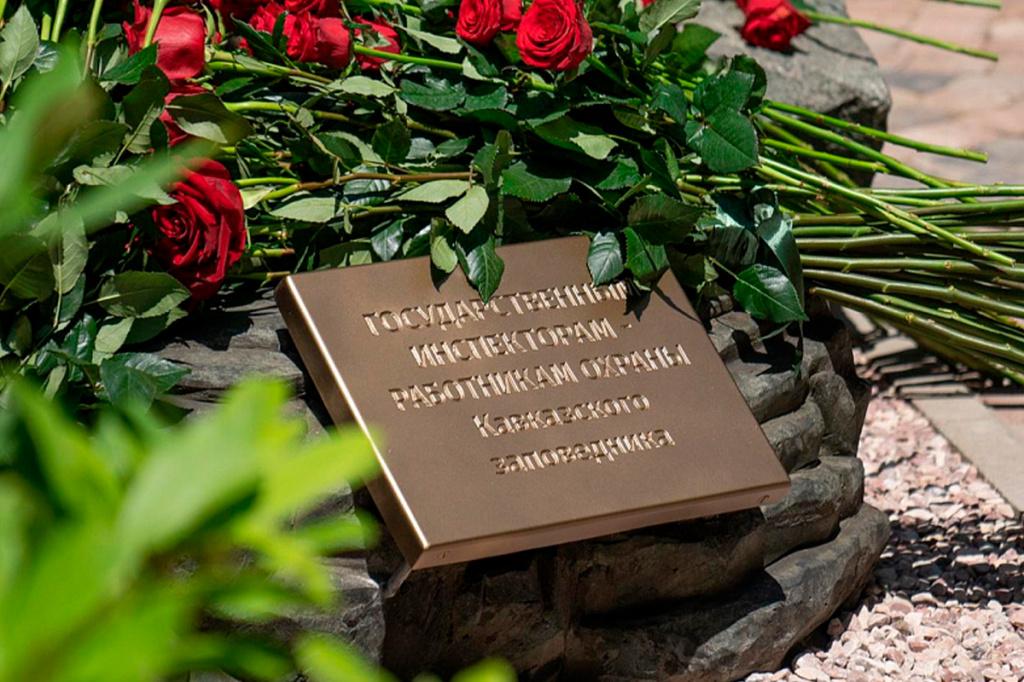 Без иваивамени-1.jpg Без иваивамени-1.jpg