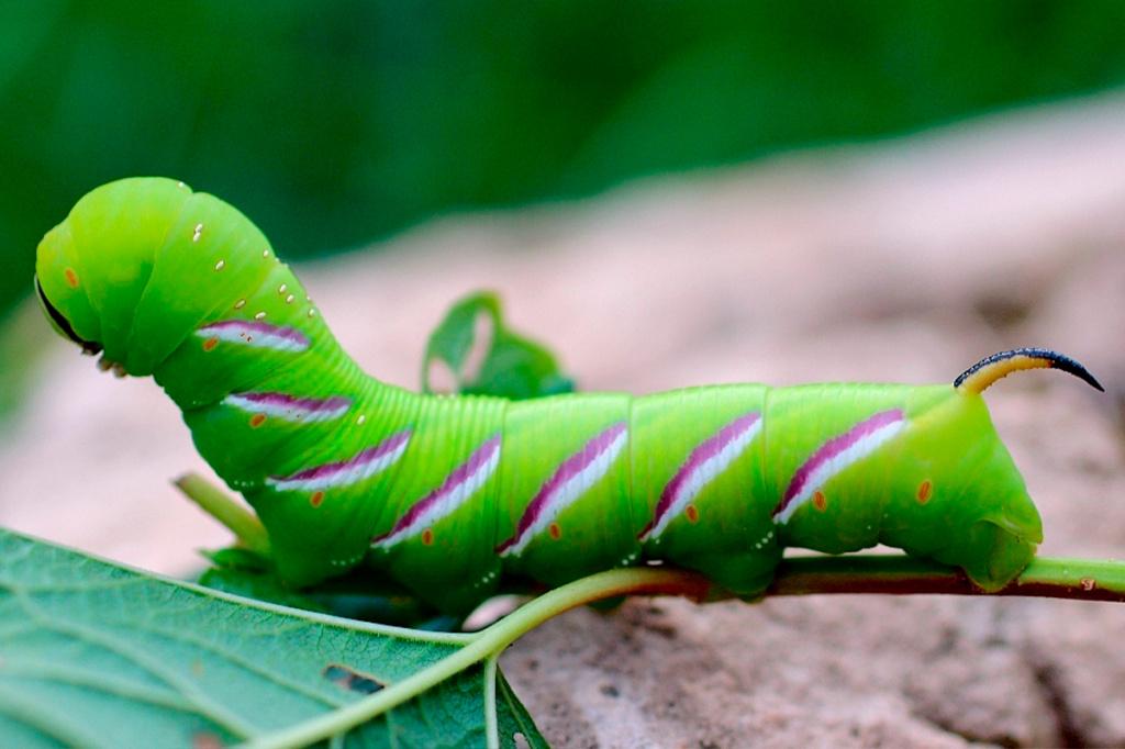 Без имеаууннни-1.jpg