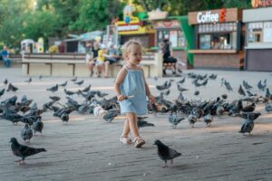 В Новороссийске многодетным семьям дадут 29 земельных участков