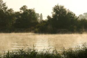 Краснодарское водохранилище начало наполняться водой