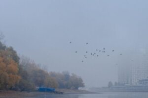 Сочи до конца суток погрузится в туман