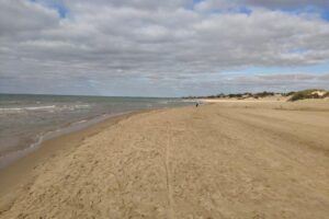 В Анапе дайверы нашли в Черном море гранату времен ВОВ