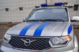 В Геленджике неизвестные отравили домашних собак