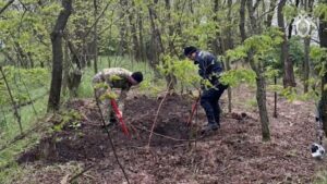 Следователи задержали троих подозреваемых в убийстве аниматоров на Кубани