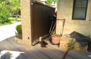 Енот устроил беспорядок во дворе частного дома под Новороссийском