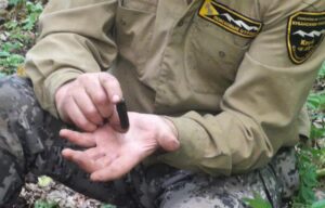 На Кубани нашли родственников солдата ВОВ, останки которого обнаружили под Новороссийском