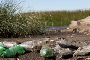 На землях сельхозназначения Кубани выявили 30 свалок
