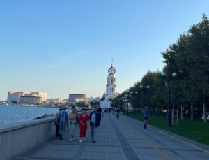 В Новороссийске уничтожат американскую белую бабочку
