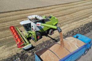 На Кубани планируют собрать 12,4 млн тонн зерна