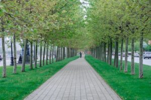 В Новороссийске установили особый противопожарный режим