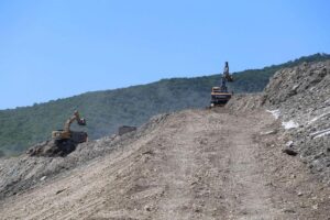 Краснокнижные деревья высадят на месте мусорного полигона в Геленджике