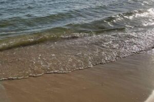 Труп мужчины выловили из Нижнего Покровского озера в Краснодаре