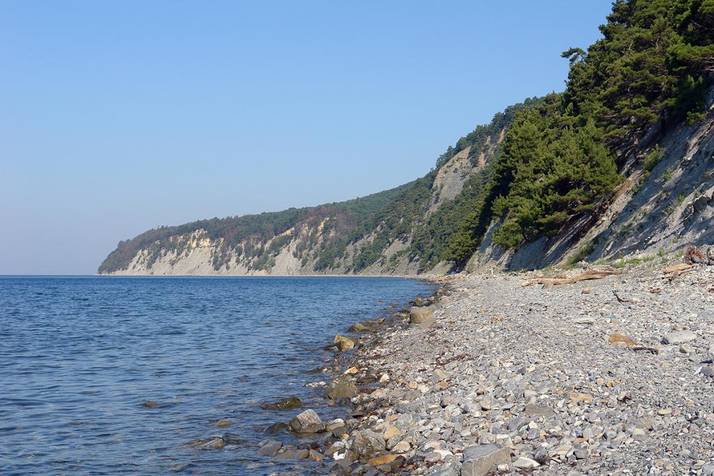 PCVR-3094.jpg PCVR-3094.jpg