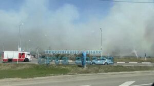 Плавни рядом с автозаправкой загорелись в Анапе