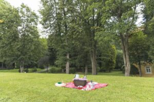 Число укушенных клещами на Кубани превысило 2,9 тысячи человек
