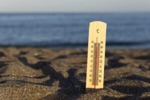 Синоптики предупредили жителей Сочи о сильной жаре