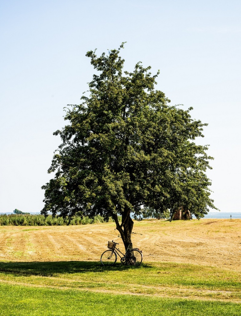 anders-nord-IQUyLpKDFKI-unsplash.jpg anders-nord-IQUyLpKDFKI-unsplash.jpg