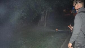 В парках Краснодара травят приставучих кровососов