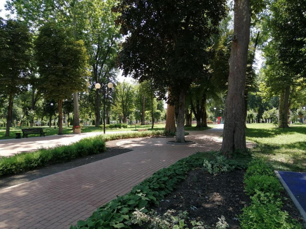 к центральной аллее.jpg к центральной аллее.jpg