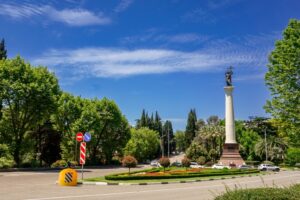 Растения Сочи обработают от американской бабочки